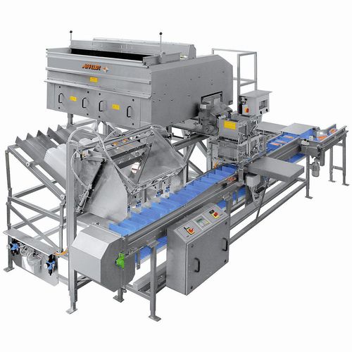 Peseuse en continu - AVN 112-CW 12EV-K - Affeldt Maschinenbau GmbH - pour l'industrie agroalimentaire / avec alimentateur vibrant / en acier inoxydable
