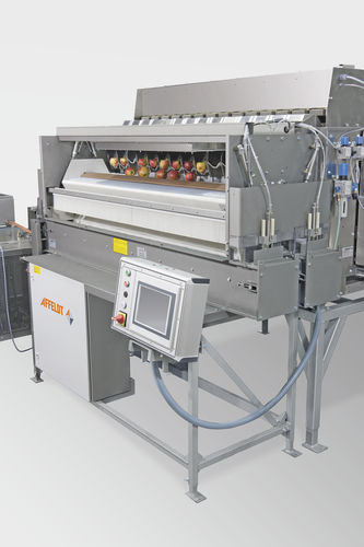 Peseuse dynamique -  AVN 114-CWxxEVA - Affeldt Maschinenbau GmbH - pour l'industrie agroalimentaire