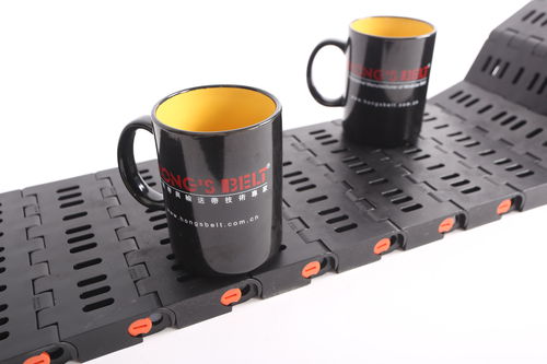 Bande de convoyeur modulaire - HS-1800B/63.5MM - Huanan Xinhai (Shenzhen) Technology Co.,Ltd.
