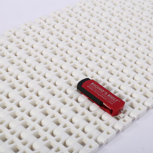 Bande de convoyeur modulaire - HS-2500B/25.4MM picth - Huanan Xinhai (Shenzhen) Technology Co.,Ltd.