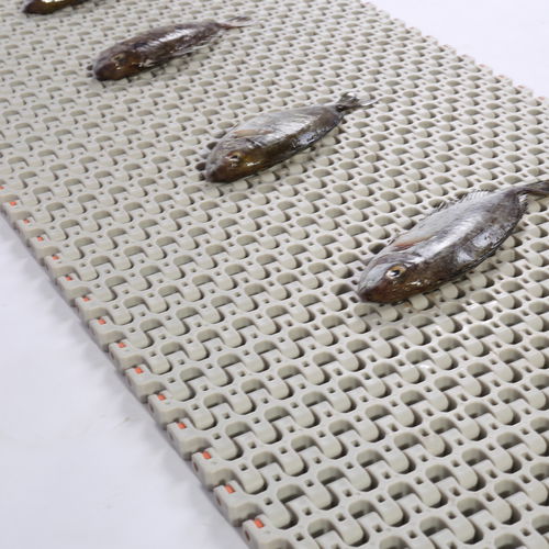 Bande de convoyeur flexible - HS-501B, 25.4mm pitch - Huanan Xinhai (Shenzhen) Technology Co.,Ltd. - modulaire / en POM / en PP