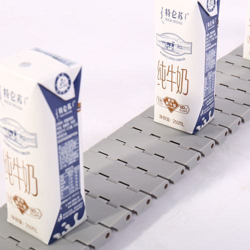 Bande de convoyeur modulaire - HS-502A-83GB /25mm picth - Huanan Xinhai (Shenzhen) Technology Co.,Ltd. - en POM / en PP / en PA