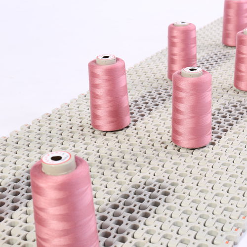Bande de convoyeur modulaire - HS-501B / 25.4mm picth - Huanan Xinhai (Shenzhen) Technology Co.,Ltd. - en POM / en PA / en PE