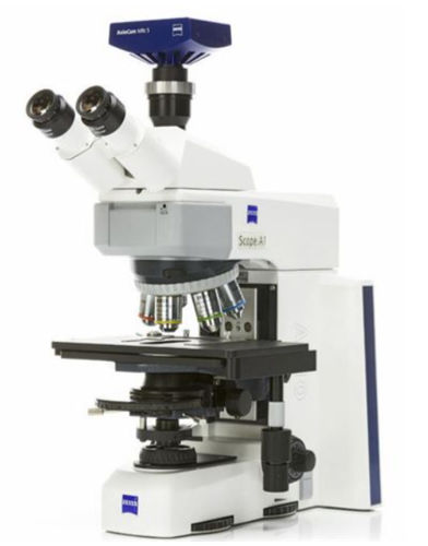Microscope optique - AxioScope A1 - Hitech Instruments - de laboratoire / pour la recherche / droit