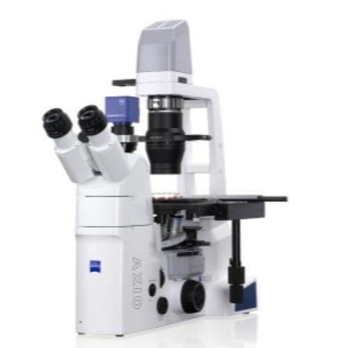Microscope optique - AxioVert A1 - Hitech Instruments - pour la recherche / industriel / médical
