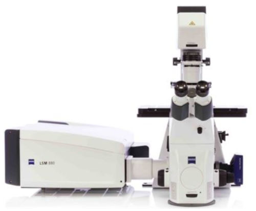 Système d'imagerie compact - LSM 800 - Hitech Instruments