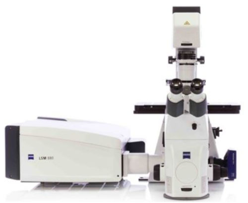 Système d'imagerie - LSM 880 - Hitech Instruments