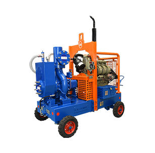 Pompe à carburant - WD series - C.R.I. Pumps - à eau / à huile / avec moteur électrique