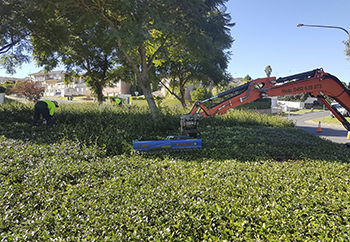 Taille-haie hydraulique - Auger Torque Europe Ltd. - pour excavateur