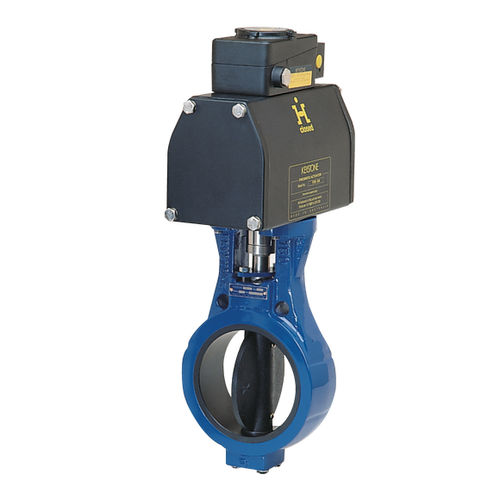 Vanne papillon - F637 - Pentair Valves & Controls - électrique / de contrôle / pour boue