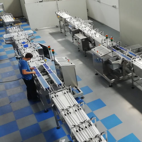 Système de fin de ligne pour mise en carton - IDECON S.R.L. - pour le dosage / pour flowpack / pour machines de fabrication de plateaux