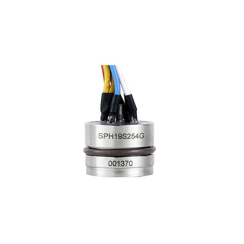 Capteur de pression absolue - SPH19S - Shanghai LEEG Instruments Co.,Ltd. - silicium / piézorésistif / analogique