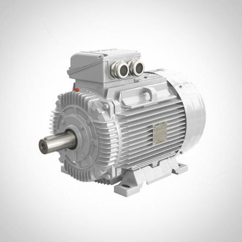 Moteur asynchrone - SWE series - Fuzhou Wonder Electric Co.,Ltd. - 3-phases / 400V / en fonte