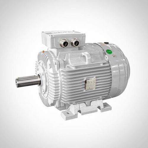 Moteur asynchrone - WE series - Fuzhou Wonder Electric Co.,Ltd. - 3-phases / 400V / en fonte