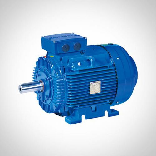 Moteur asynchrone - ZWE series - Fuzhou Wonder Electric Co.,Ltd. - 3-phases / 400V / en fonte