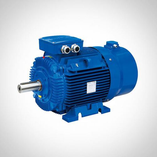 Moteur à induction - WVF series - Fuzhou Wonder Electric Co.,Ltd. - 3-phases / 400V / en fonte