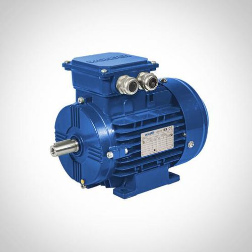 Moteur asynchrone - ZWEA series - Fuzhou Wonder Electric Co.,Ltd. - AC / 400V / en aluminium
