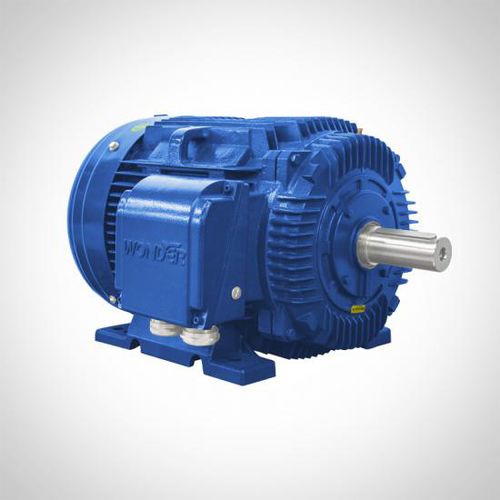 Moteur asynchrone - NT series - Fuzhou Wonder Electric Co.,Ltd. - triphasé / en fonte / IP55