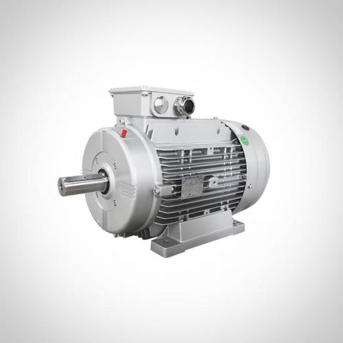 Moteur à induction - WTM series - Fuzhou Wonder Electric Co.,Ltd. - triphasé / modulaire / IP55