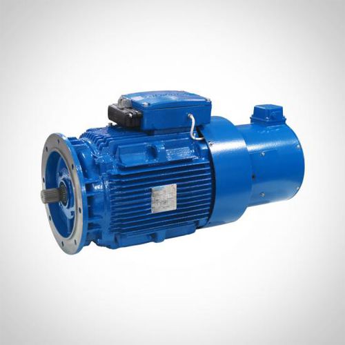 Moteur à induction - WEAVF&WEVF series - Fuzhou Wonder Electric Co.,Ltd. - triphasé / IP55 / avec frein