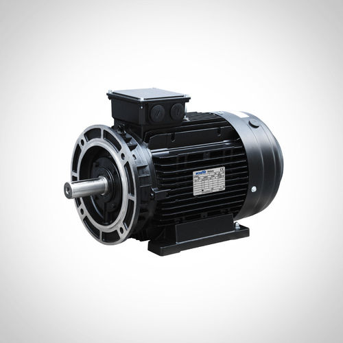 Moteur à induction - SSWEA132M-4-7.5KW - Fuzhou Wonder Electric Co.,Ltd. - AC / IP55 / IE4