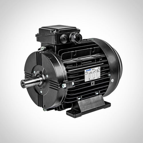 Moteur asynchrone - SWEA160M4-11KW - Fuzhou Wonder Electric Co.,Ltd. - triphasé / IP55 / à carcasse en aluminium