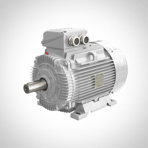 Moteur asynchrone - SWE200L4-30KW - Fuzhou Wonder Electric Co.,Ltd. - triphasé / durci / IE3