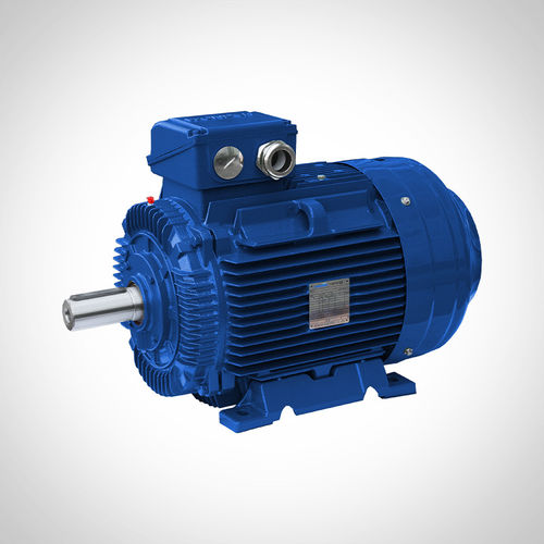 Moteur asynchrone - SWE315L2-2-200KW - Fuzhou Wonder Electric Co.,Ltd. - AC / pour broyeur / pour l'industrie minière