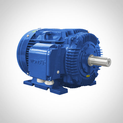 Moteur à induction - NT444T1-6-D-75HP - Fuzhou Wonder Electric Co.,Ltd. - AC / en fonte / TEFC