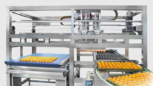Démouleur pour l'industrie agroalimentaire - SMO - COMAS SPA - automatique