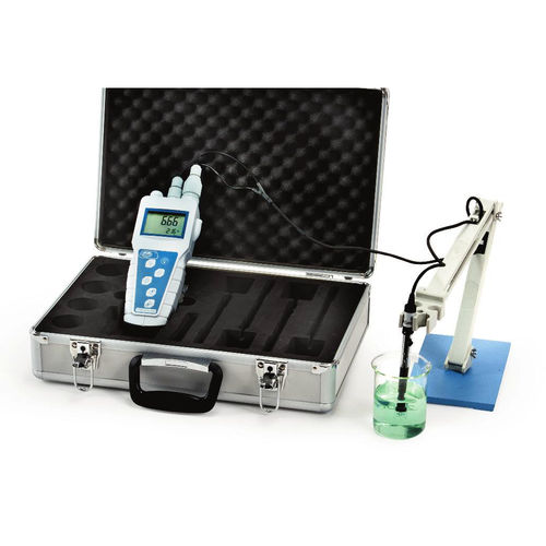 PH mètre portable - 2004 - J.P Selecta - de laboratoire / numérique