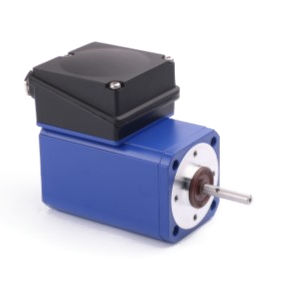 Moteur à induction - IGK 65 - GROSCHOPP AG Drives & More - monophasé / IP54 / robuste