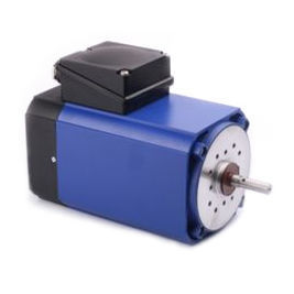 Moteur à induction - IGL 100 - GROSCHOPP AG Drives & More - AC / robuste / compact