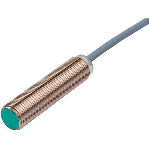 Interrupteur de proximité inductif - Pepperl+Fuchs SE - cylindrique / à longue portée