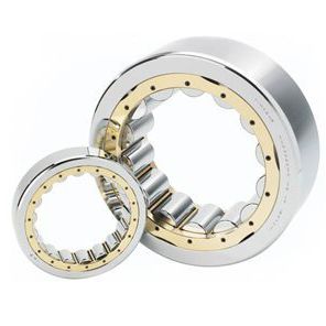 Roulement à rouleaux cylindriques - NF  - TIMKEN Europe - radial / à une rangée / en acier