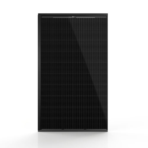 Module solaire noir - Aleo Solar