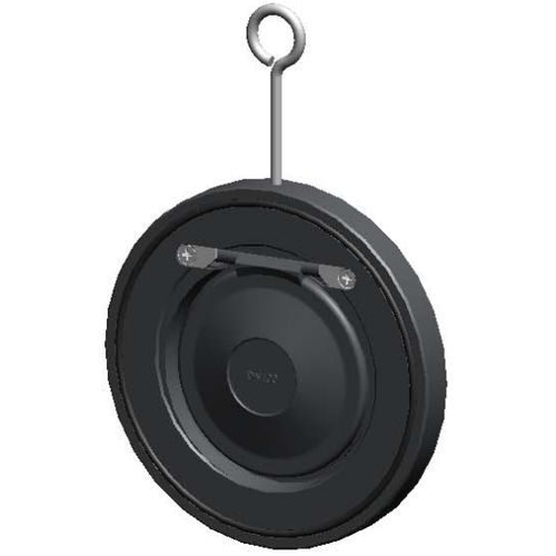 Clapet anti-retour en acier - CB5440, CB6441 - TECOFI - à battant / pour eau / wafer