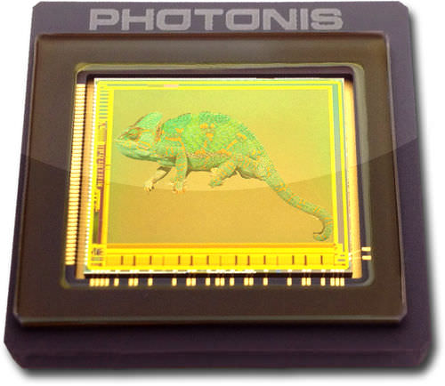 Capteur d'image CMOS - KAMELEON - PHOTONIS - couleur / monochrome / à l'état solide