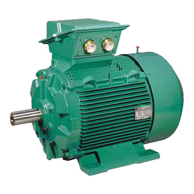 Moteur à induction - FLSES - LEROY-SOMER - triphasé / 380 V / 690 V