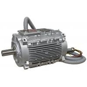 Moteur pour système d'extraction de fumée et de chaleur - LSHT/FLSHT - LEROY-SOMER - à induction / triphasé / 690 V