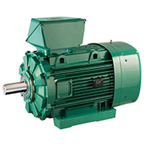 Moteur ATEX - FLSES zone 22 - LEROY-SOMER - à induction / AC / 400V