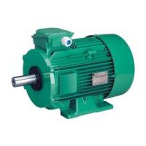 Moteur à induction - LS series - LEROY-SOMER - triphasé / à carcasse en aluminium / IP55