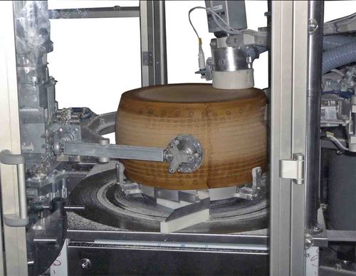 Laveuse agro-alimentaire de fromage - Caseartecnica Bartoli - automatique