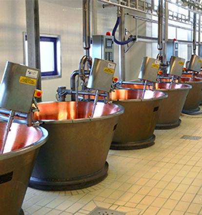 Agitateur à turbine - Caseartecnica Bartoli - horizontal / continu / liquide / solide