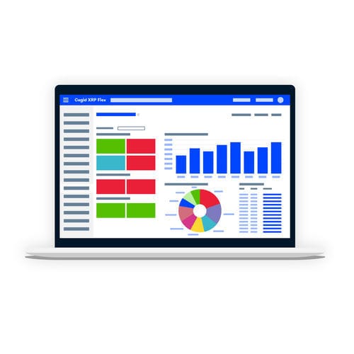 Logiciel d'ERP - Cegid XRP Flex - CEGID - de gestion / de reporting / temps réel