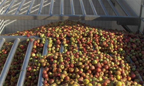 Ligne de production de jus de fruits de triage - Bucher Unipektin AG - de stockage