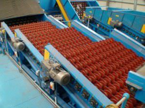 Crible scalpeur pour verre - NEWScreen - CP Manufacturing - vibrant linéaire / pour produits en vrac