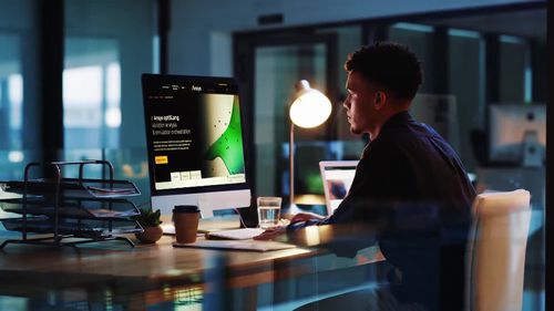 Logiciel d'analyse - optiSLang - ANSYS - de simulation / de gestion / de visualisation