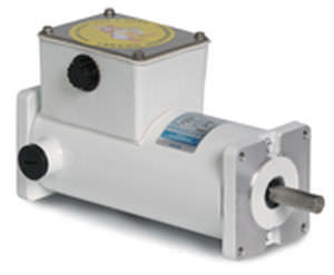 Moteur synchrone - LEESON Electric - CC / étanche