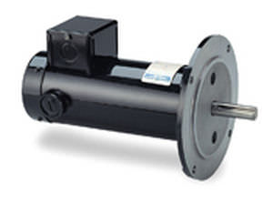 Moteur synchrone - LEESON Electric - DC / à aimants permanents